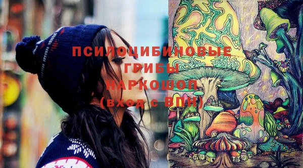гидра Белоозёрский